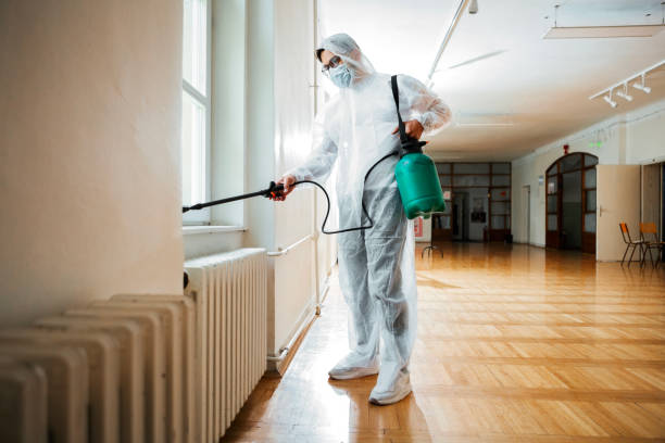 Wasp Removal Services in Collegedale, TN