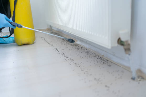 Collegedale, TN Pest Control Company