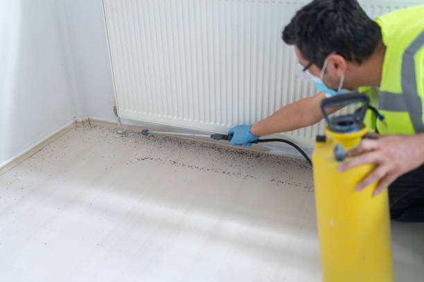 Best Best Pest Control Companies  in Collegedale, TN