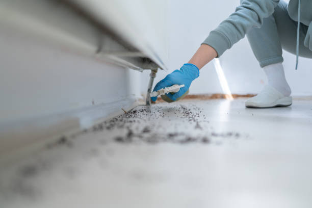 Best Exterminator Services  in Collegedale, TN